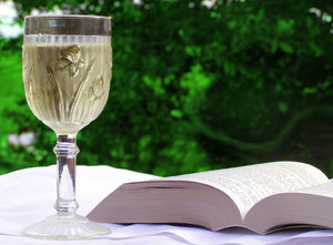 glassofwinebook