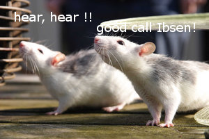 picture of two lab rats