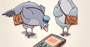 carrier pigeons wide