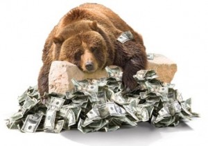 Bear on a pile of cash